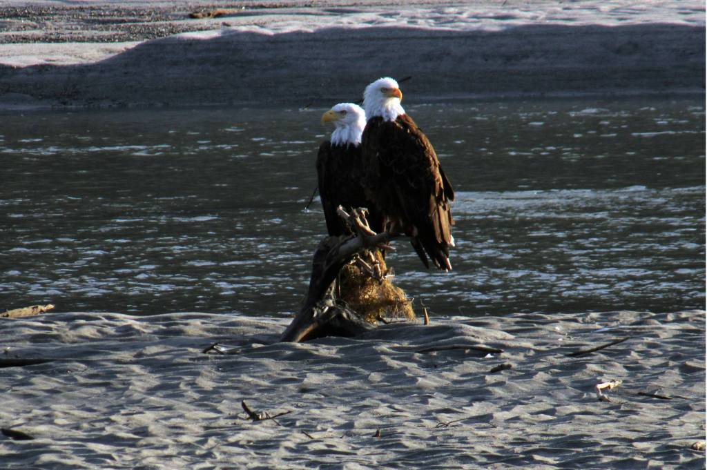 The Eagle Beach Campground area lives up to its name on Aug. 19,2020. (Courtesy Photo / Carolyn Kelley)