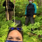 Maleah Wenzel, Heather Powell and Vivian Mork harvest devils club in Juneau amid a pandemic. (Courtesy Photo / Heather Powell)