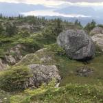 (Jeff Lund / For the Juneau Empire                                 Down at the ocean is a reward dinner of…Cheetos?