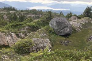 (Jeff Lund / For the Juneau Empire                                 Down at the ocean is a reward dinner of…Cheetos?