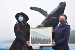 A picture is worth a thousand words: Environmentalists submit art as public comment to Murkowski