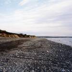 This July 1998 photo shows the Bristol Bay shoreline near Naknek. (Courtesy Photo / Stan Shebs)