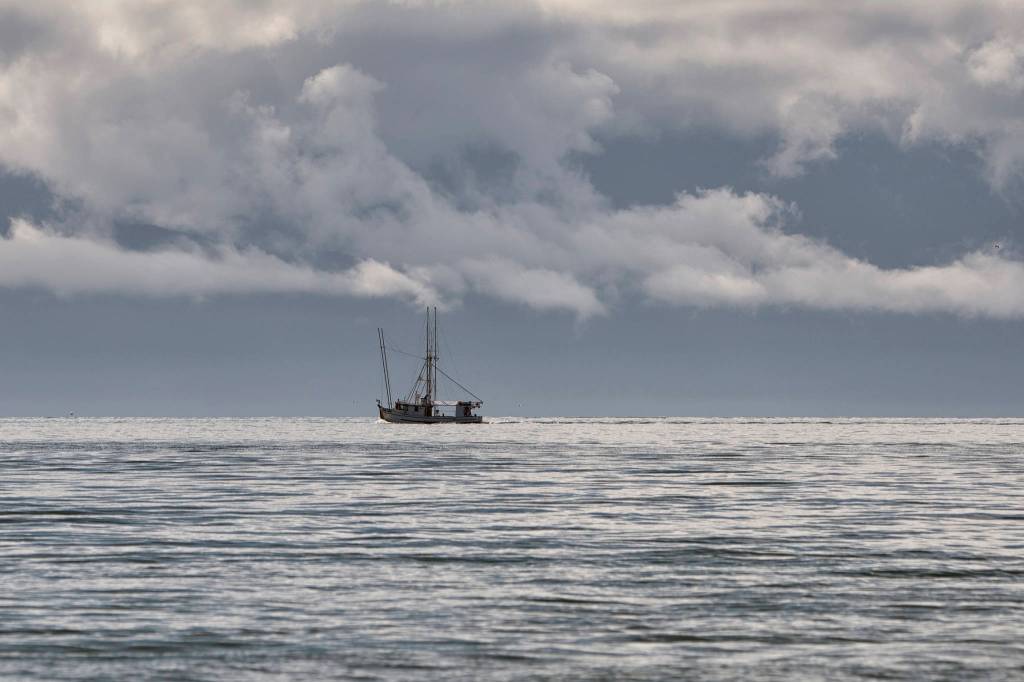 The fishing boat Carol Ann returns to Don D. Statter Harbor on Aug. 29, 2020.(Courtesy Photo / Kenneth Gill, gillfoto)