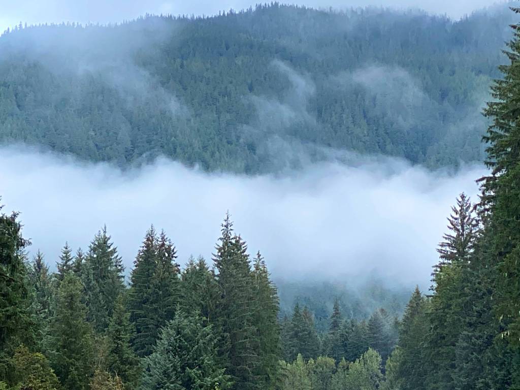A layer of fog like cotton batting settles over Herbert River along the Windfall Lake Trail on Sept. 4, 2020. (Courtesy Photo / Denise Carroll)