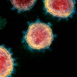 Vaccine distribution plan? Health officials say Alaska already has one