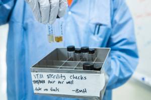 State reports a low number of new COVID-19 cases