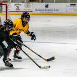 Two players competing in the 12-and-under division race toward the puck in a recent pre-season workout at Treadwell Ice Arena.