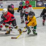 A group of 8-and-under players race toward the puck in a recent pre-season workout at Treadwell Ice Arena. (Courtesy Photo / Steve Quinn)