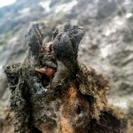 Melting permafrost reveals a surprise 22,000 years in the making