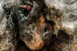 Melting permafrost reveals a surprise 22,000 years in the making