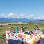 This photo shows a picnic table at Eagle Beach Recreation Area. (Courtesy Photo / Claire Richardson)