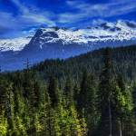 Prince of Wales Island was named as a potential site for mining during an industry panel held as part of the annual Southeast Conference meeting. Industry leaders said they believe increased mining would be good for Southeast Alaskas economy and for the U.S. as a whole. (Courtesy Photo / Kieran MacAuliffe, Pixabay )