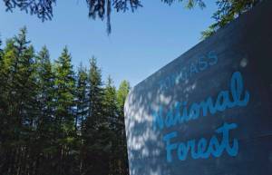 The Tongass National Forest sign seen en route to the Mendenhall Glacier Visitor Center. The U.S. Forest Service is proposing to exempt the countrys largest national forest from a ban on timber harvests and road building in roadless areas, a move conservation groups denounced Thursday. (Michael Penn / Juneau Empire File)