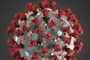 City reports new cases, state announces 46th death