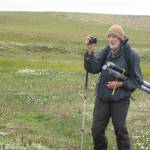In August 2012, David Klein, then 85, carried sediment cores within plastic pipes over the surface of St. Matthew Island. (Courtesy Photo / Ned Rozell)