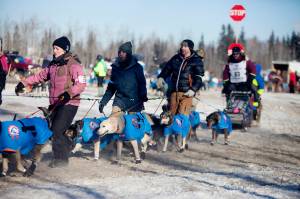 Associated Press                                In this March 2017 photo, volunteer handlers guide teams out of the dog yard and down the chute to the starting line of the 45th Iditarod Trail Sled Dog Race in Fairbanks, Alaska. The worlds most famous sled dog race will go forward in 2021, and officials are preparing for every potential contingency now for what the coronavirus and the world might look like in March when the Iditarod starts.