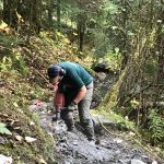 Destiny Locke, a member of the Forest Services trail crew, makes improvements to East Glacier Trail on Thursday, Sept. 24. I hike East GT weekly and am so grateful for the new steps cut into rock that make climbing easier for short legs, writes Laurie Craig. (Courtesy Photo / Laurie Craig)