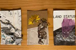 The Southeast Alaska Conservation Council recently produced a zine Hunker Down For Climate Change made with art submissions from residents of the Southeast, Oct. 13, 2020. (Courtesy Photo / SEACC)