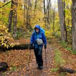 Artist Rob Mullen walks down Long Trail, the countrys oldest long distance trail, in Manchester, Vt., on Tuesday, Oct. 13, 2020. Mullen was nearing the end of his 272-mile month-long hike down the length of Vermont, painting along the way. (AP Photo/Lisa Rathke)