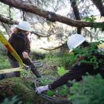 Meghan Tabacek, a Trail Mix Inc. crewmember, powers a wire hoist during safe rigging practices training. (Trail Mix photo / Meg Roussos)