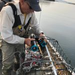 Prepping an underwater camera on Lake Iliamna. Courtesy Photo / Mark Stigar)