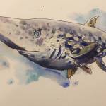 The Iliamna Lake monster, depicted in this illustration by Alex Wit, is often described as shark-like in appearance. (Courtesy Image / Alex Wit)