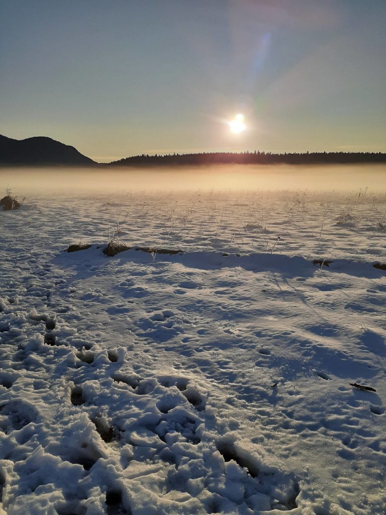 This photo shows the flats across the Mendenhall River from the northwest end of the airport near the golf course on Nov. 10. (Courtesy Photo / Jerry Smetzer)