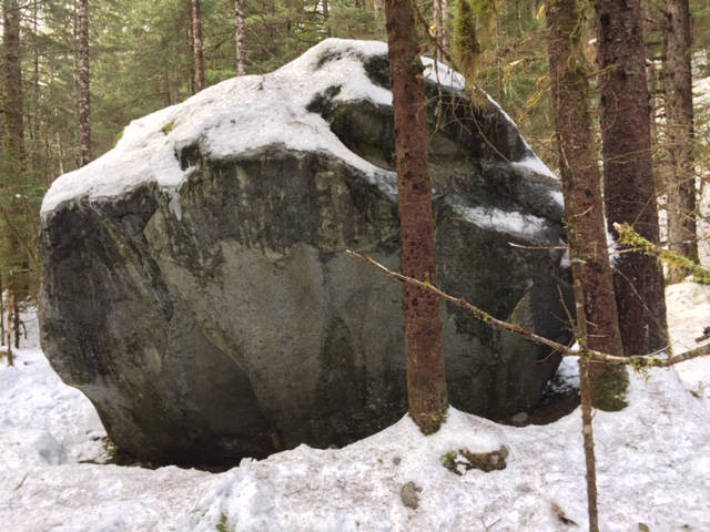 This photo shows Tolch Rock, a granite boulder deposited by Mendenhall Glacier, at the trailhead across from Skaters Cabin parking lot. (Courtesy Photo / Sandy R. Williams)