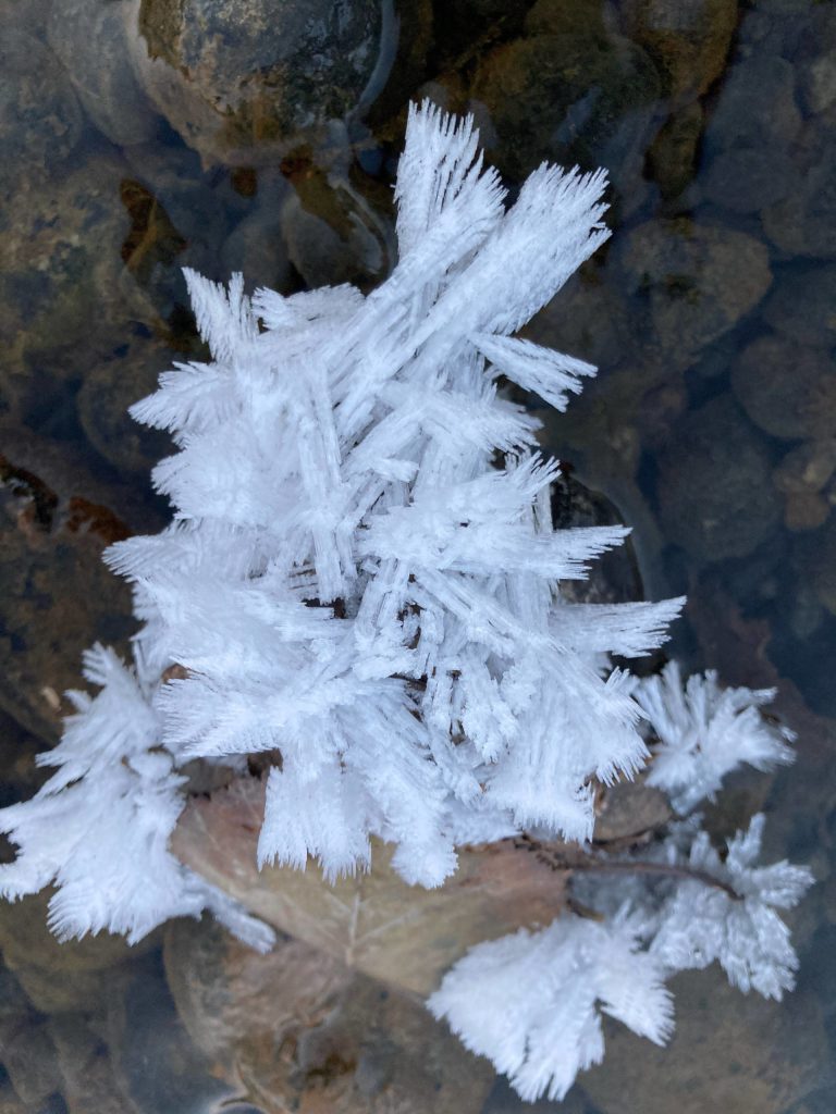 Snow flowers are seen along the Mendenhall River on Nov. 17. (Courtesy Photo / Deborah Rudis)