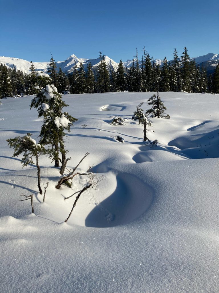 This photo shows Spaulding Meadows sun and snow on Nov. 10. (Courtesy Photo / Deborah Rudis)