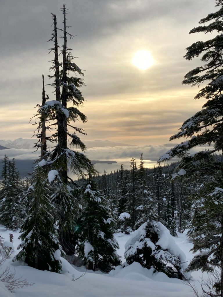 This photo shows the afternoon light at Spaulding Meadow on Friday, Nov. 27. (Courtesy Photo / Deborah Rudis)