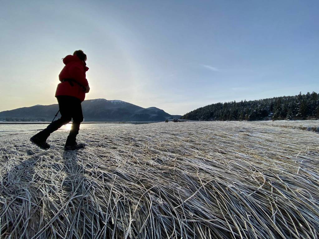 A person makes their way along the Mendenhall Wetlands Trail in early November. (Courtesy Photo / Deana Barajas)