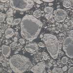 Sea ice forms in Cook Inlet, Alaska. (Courtesy Photo / Ned Rozell)