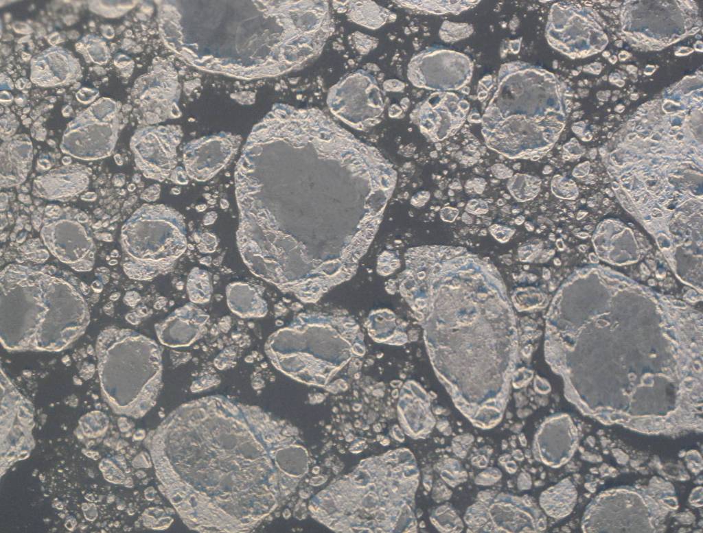 Sea ice forms in Cook Inlet, Alaska. (Courtesy Photo / Ned Rozell)