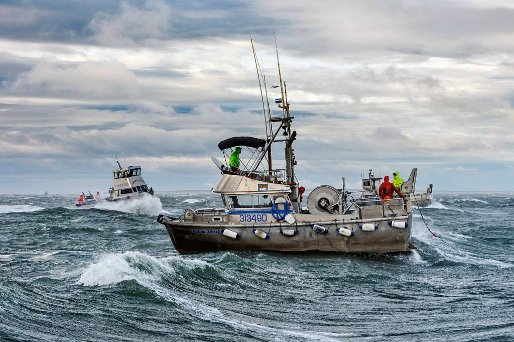 Gillnetters at work in Bristol Bay. (Courtesy Photo / Chris Miller)