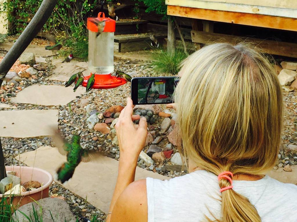 This photo shows Sherry Simpson and hummingbirds at her home in New Mexico a few years ago. (Courtesy Photo / Scott Kiefer)
