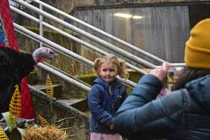Amy Balanga photographs her daughter Clara, 4, alongside a live turkey at a fundraiser photoshoot for Juneau-Douglas High School: Yadaa.at Kalés vocational programs on Wednesday.