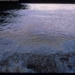 Oil sheen bleeds from the beach at Herring Bay on Knight Island on Dec. 7, 1989. (Courtesy Photo / ARLIS Reference)