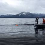Gordon Chew uses a GoPro on a pole to assess the humpback entanglement while Steve Lewis carefully negotiates the full circumference of the whale. (Courtesy photo / Rachel Myron)