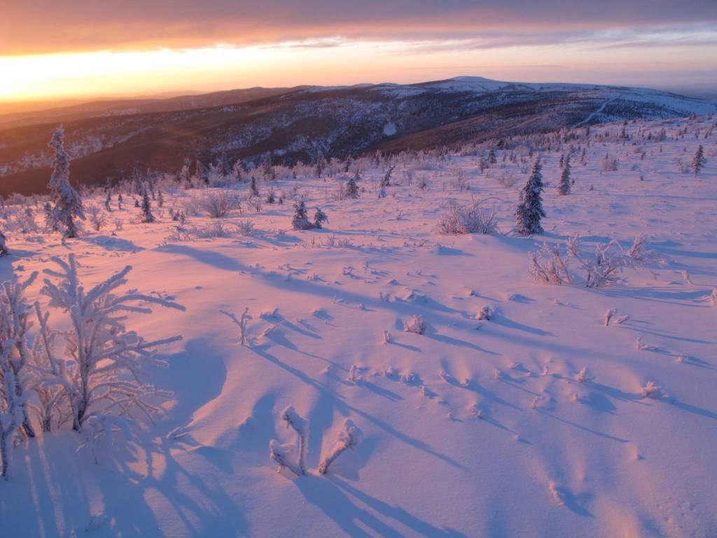 December sun creates the longest shadows of the year in the hills above Fairbanks. (Courtesy Photo / Ned Rozell)