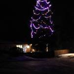 A tree decorated with lights towers above Sleepy Court. (Ben Hohenstatt / Juneau Empire)