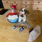 Courtesy Photo / Tracey Torba
This elf takes a bubble bath.