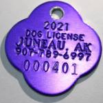 This photo shows a 2021 Juneau dog license. The deadline to register dogs with Juneau Animal Rescue, which provides animal control services for the capital city is fast approaching. (Ben Hohenstatt / Juneau Empire)