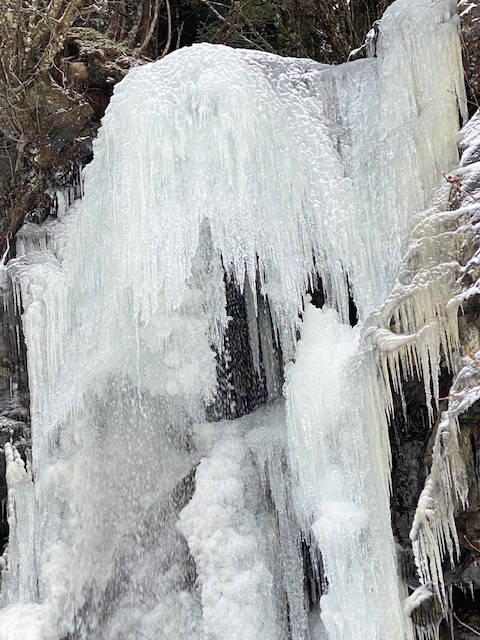 The ice monster was seen on North Douglas Highway on Jan. 30. (Courtesy Photo / Denise Carroll)