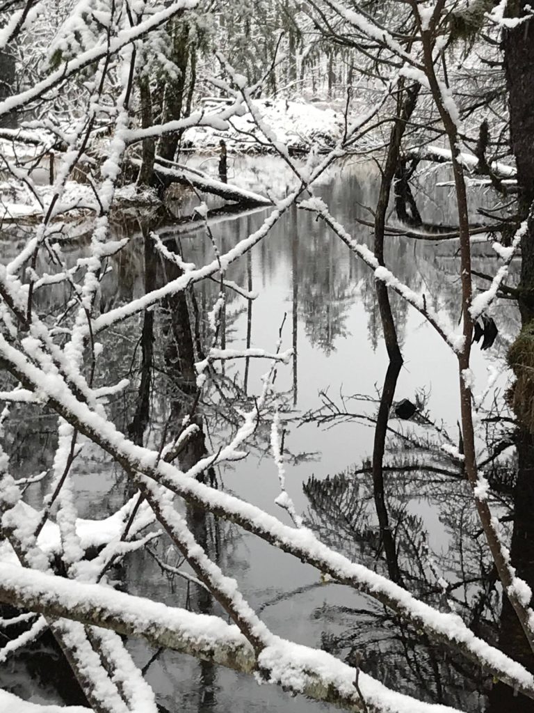 This photo shows the Dredge Lake area on Jan. 30. (Courtesy Photo / Dick Fagnant)