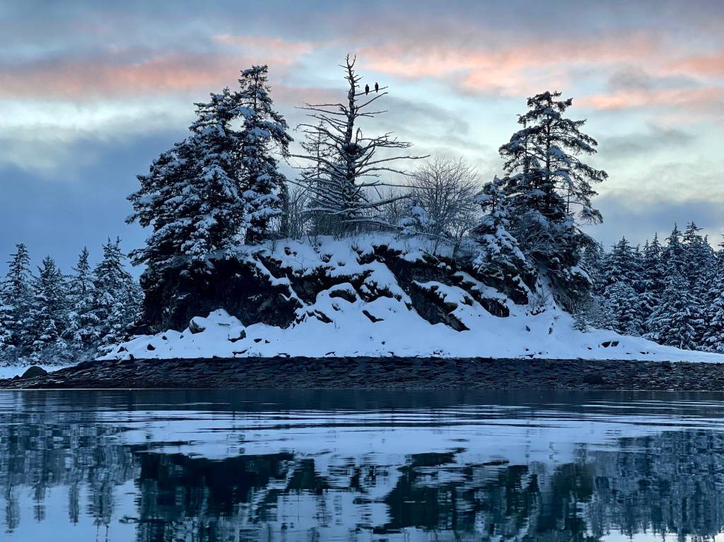 This photo shared on Feb. 7 shows a pair of eagles on a picturesque winter day. (Courtesy Photo / Norval Nelson)