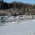 Mendenhall river ices over near Marion drive in the Mendenhall Valley on a negative 9-degree morning on Feb. 9, 2021. (Courtesy Photo / David Athearn)