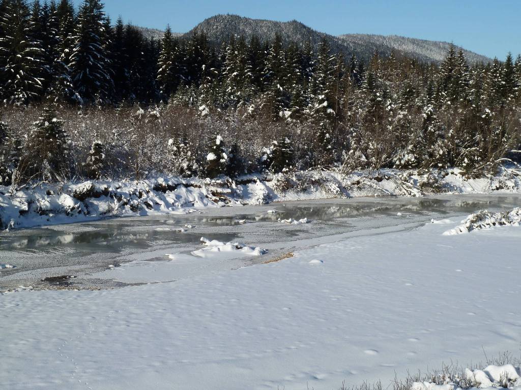 Mendenhall river ices over near Marion drive in the Mendenhall Valley on a negative 9-degree morning on Feb. 9, 2021. (Courtesy Photo / David Athearn)