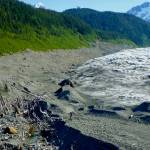 A ghost forest exposed as La Perouse Glacier in Southeast Alaska retreated. In the past, the glacier ran over the rainforest trees. Two people are also in the photo. (Courtesy Photo / Ben Gaglioti)
