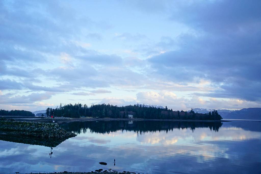 A heron sits in the sky reflected in the ocean. Taken March 8 in Craig. (Courtesy Photo / Marti Crutcher)